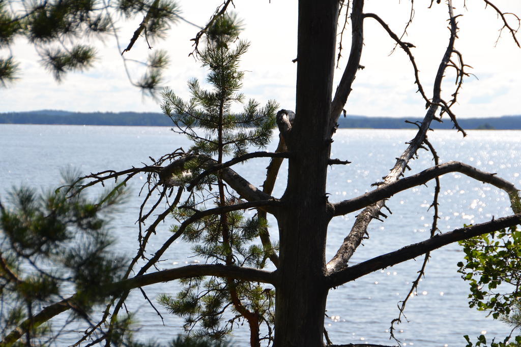 Holiday Home Tuomarniemi Kokonvaara Екстер'єр фото